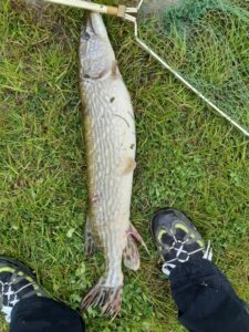 01.05.2021 kol. Szymon: Szczupak 75 cm,