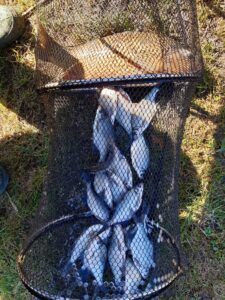 18.04.2022: Kol Wojtek : Karp 48 cm i Leszczyki