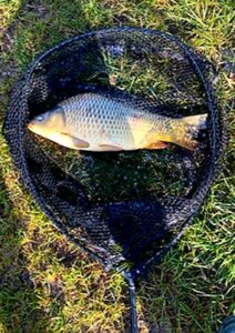 17.04.2022: Kol Leszek : Karp 45cm