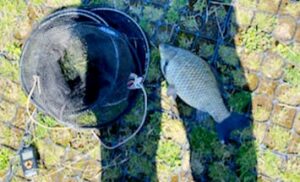 05.06.2022: Kol Wojtek : Karaś 40 cm 1,4 kg