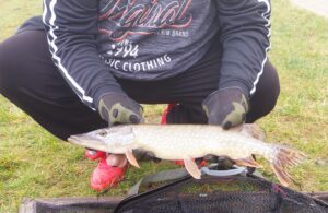 25.03.2023: Kol Władek : Szczupak 50 cm 1,4 kg złapany na Methode