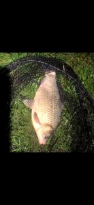 21.05.2023 kol. Krzysiek Karaś 41 cm, 1kg