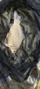 17.06.2023: Kol Krystian : Karaś 41 cm 1,1 kg