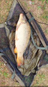 24.07.2023: Kol Krystian : Karp 74 cm 7,5 kg