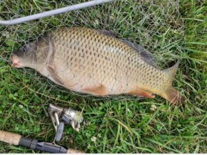 06.07.2023: Kol Krystian : Karp 3,9 kg