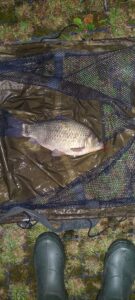 21.08.2023: Kol Krystian : Karaś 35 cm, 1 kg