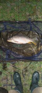 14.09.2023: Kol Krystian : Karp 50 cm, 2,10 kg