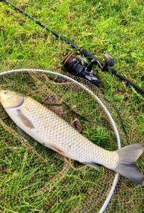 31.10.2023: Kol Adrian : Amur 44 cm