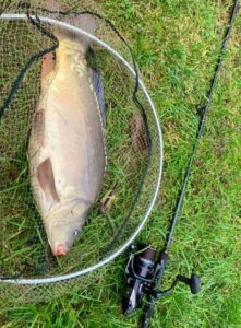 31.10.2023: Kol Adrian : Karp 48 cm 2kg