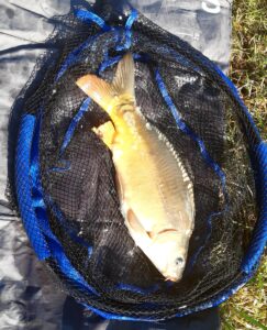 25.02.2024: Kol Michał : Karp 45 cm, 1,3kg