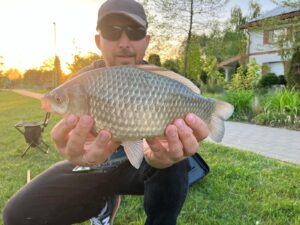 01.05.2024: Kol Adrian : Karaś 35 cm