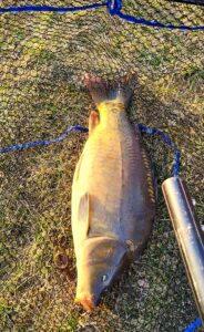 08.03.2025: Kol Paweł : Karp 67 cm, 7kg