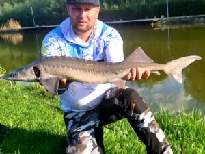 19.04.2025: Kol Paweł : Jesiotr 80 cm