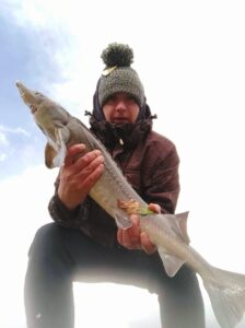 05.04.2025: Kol Jacek : Jesiotr 90 cm