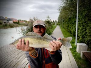 18.09.2025: Kol. Kuba : Sandacz 53cm