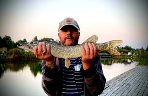 01.09.2025: Kol. Kuba : Szczupak 66cm ok.1,5kg