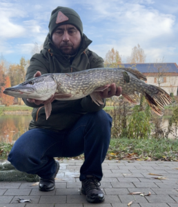 01.11.2025: Kol. Mariusz : Szczupak 81 cm