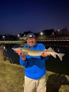 20.03.2026: Kol. Tomek : Jesiotr 70cm