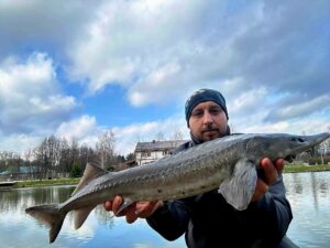 04.04.2026: Kol. Adrian : Jesiotr 85 cm