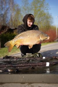 13.04.2026: Kol. Krystian : Karp 11,5 kg 80 cm